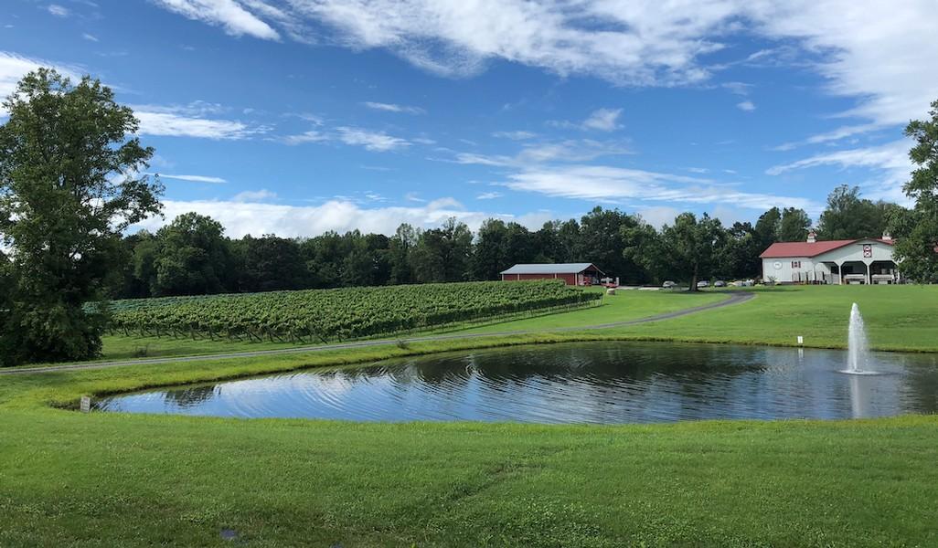 View of the pond and vineyard at Laurel Gray Vineyards.