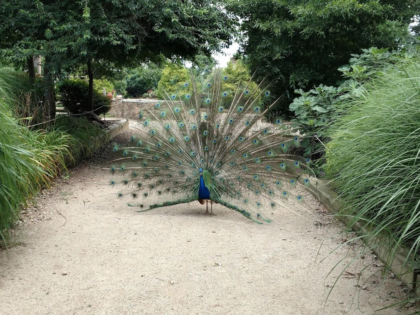 Animal lovers visit Lazy 5 Ranch to see and interact with exotic animals. 