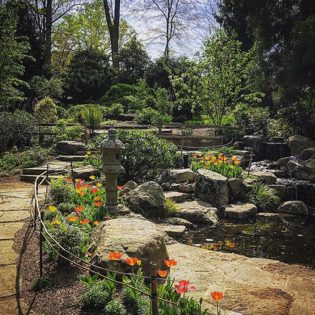 UNCC-Botanical-Gardens