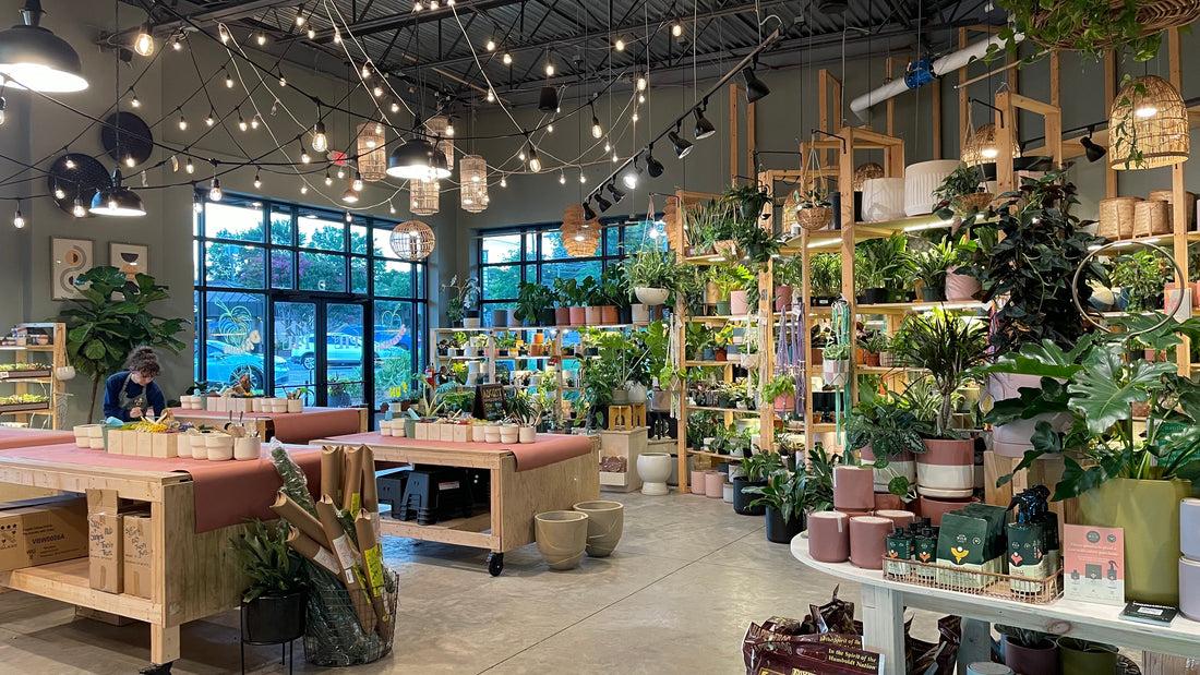 best creative workshops around lake norman