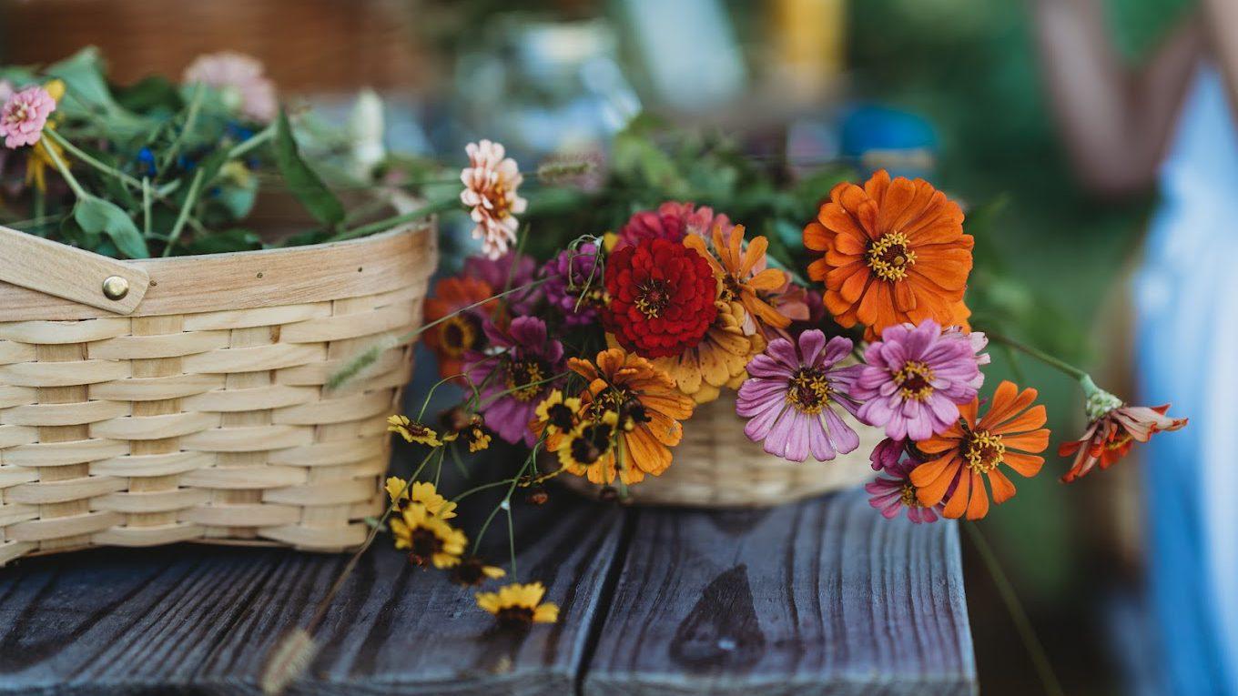 May and June starts pick your own flower season at McLawland Farms in Charlotte NC